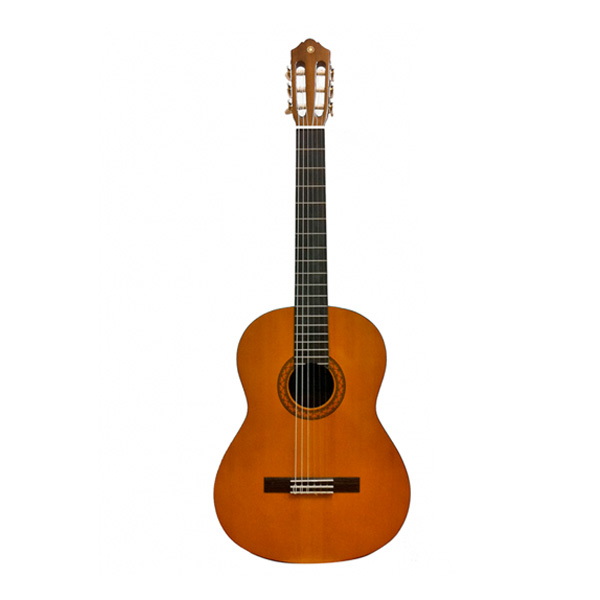 آموزش گیتار